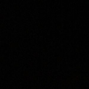 Meet your Posher, Rodney